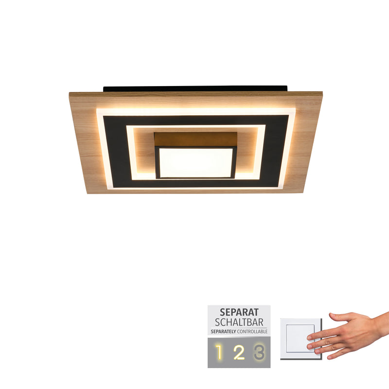 Plafoniera Paul Neuhaus TOLA LED Negru