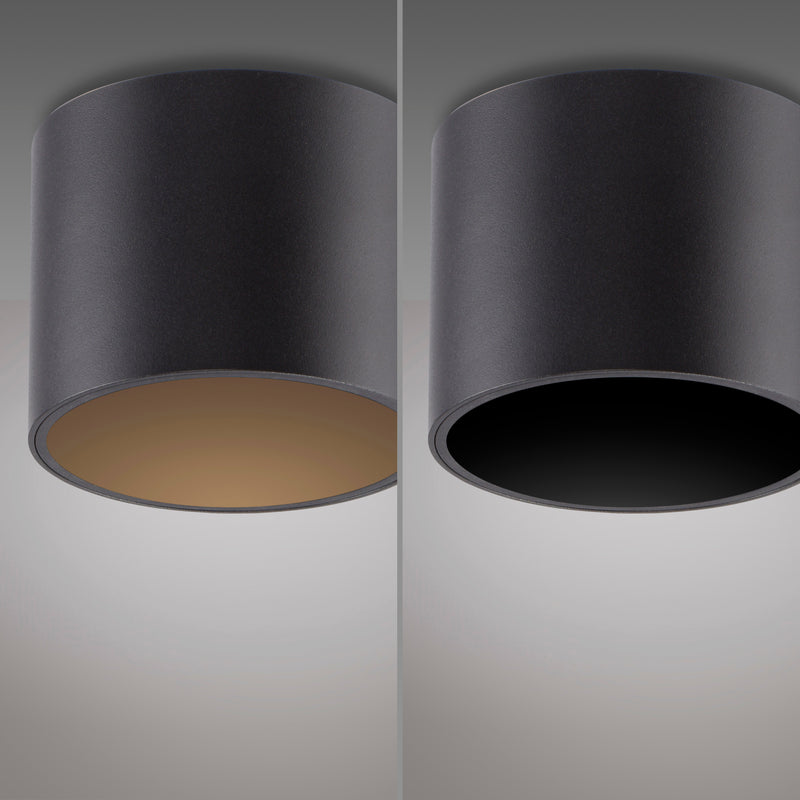 Plafoniera Paul Neuhaus PURE POINT LED Negru