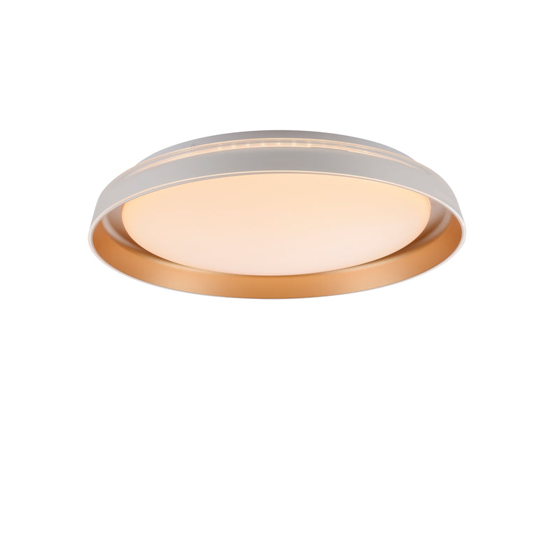 Plafoniera Paul Neuhaus SATI LED Alama Mat