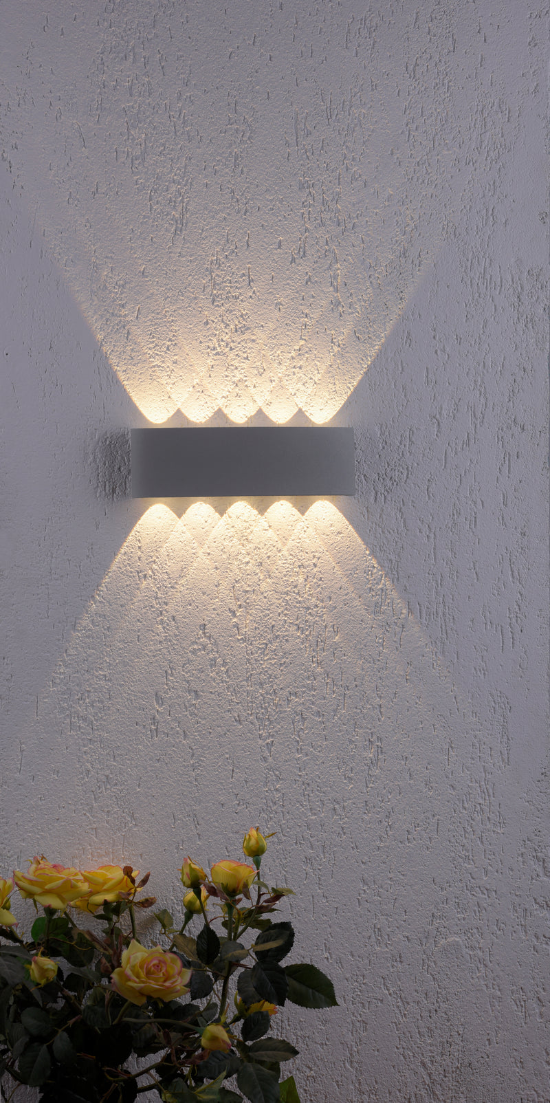 Aplica Paul Neuhaus CARLO 10xLED Argintiu