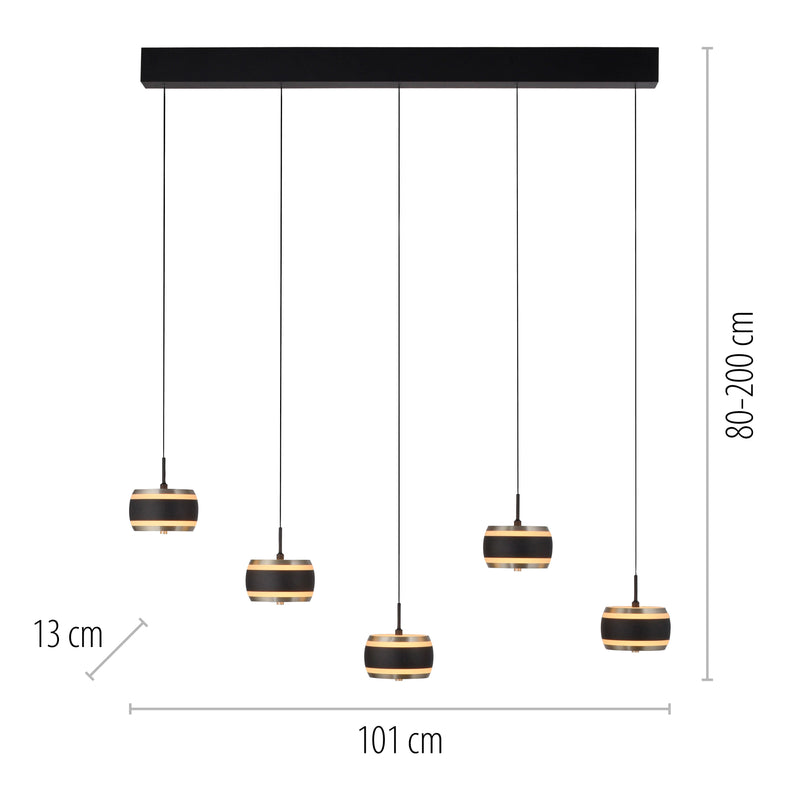 Lustra Paul Neuhaus PURE FALLING RINGS 5xLED Negru