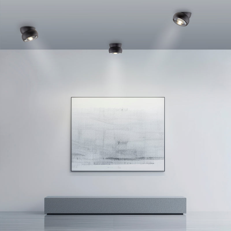 Plafoniera Paul Neuhaus PURE MOVE LED Negru