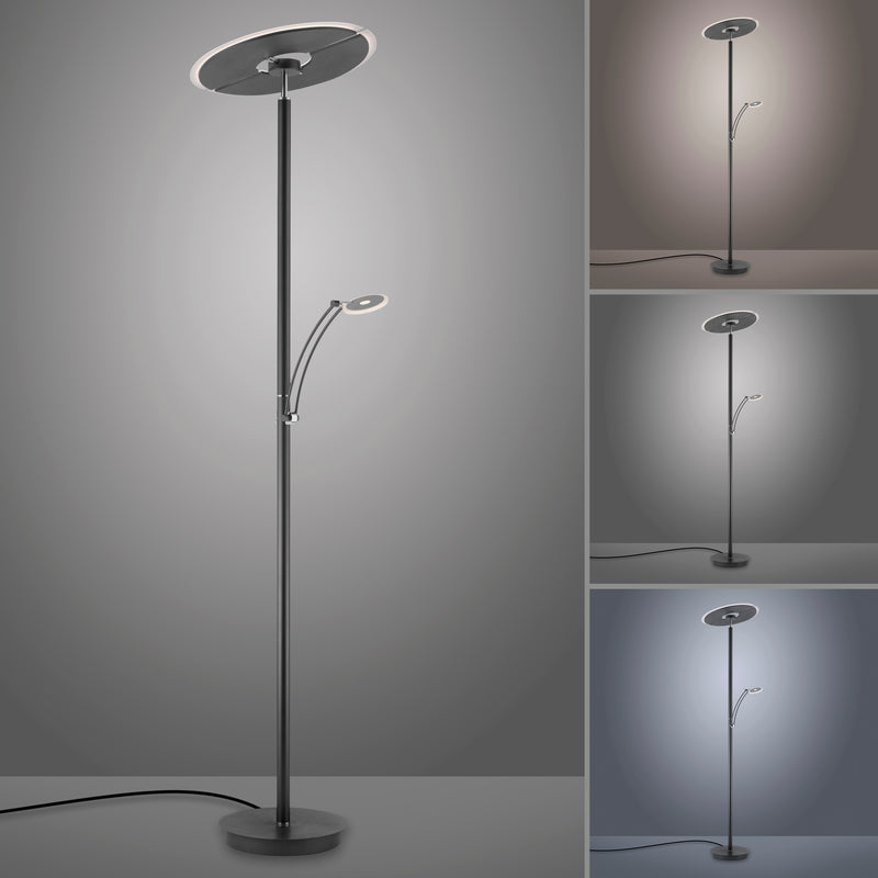 Lampadar Paul Neuhaus ARTUR LED Antracit