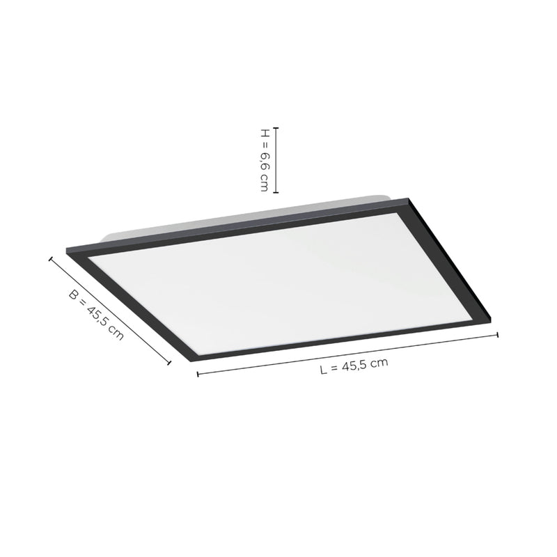 Plafoniera Paul Neuhaus FLAT LED