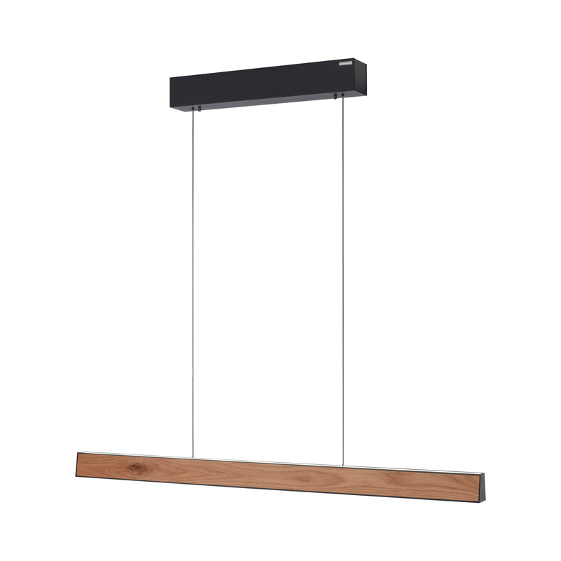 Lustra Paul Neuhaus PURE E-MOTION 2xLED Negru