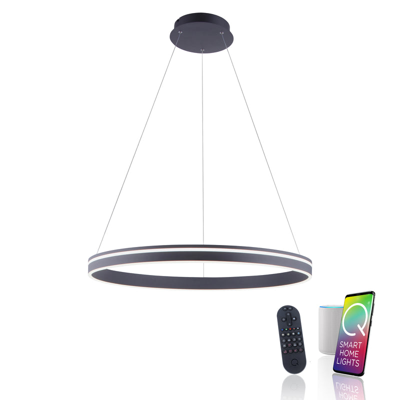 Lustra Paul Neuhaus Q-VITO LED Antracit