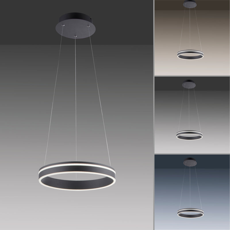 Lustra Paul Neuhaus Q-VITO LED Antracit