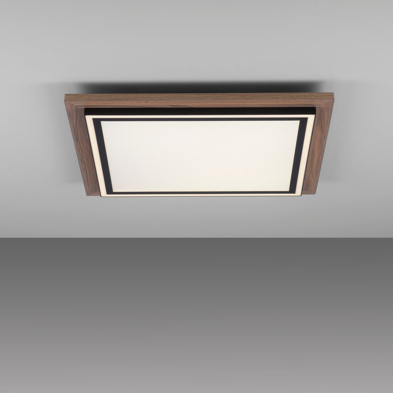 Plafoniera Paul Neuhaus PALMA 2xLED Lemn