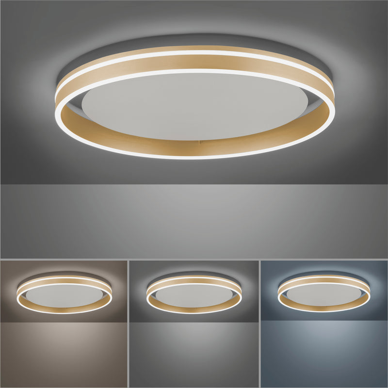 Plafoniera Paul Neuhaus Q-VITO LED Alama Mat