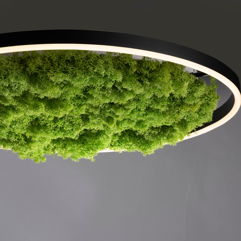 Plafoniera Zuma Line GREEN RITUS LED Muschi Natural