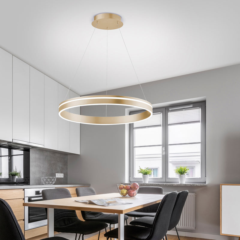 Lustra Paul Neuhaus Q-VITO LED Alama Mat