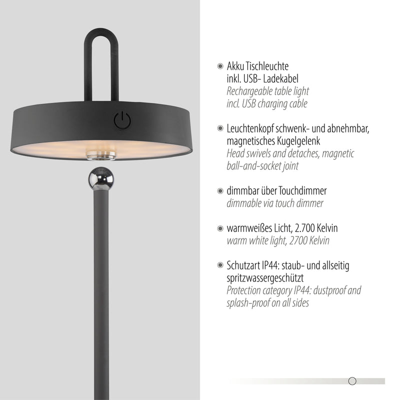 Lampa Exterior Paul Neuhaus AMAG LED Negru