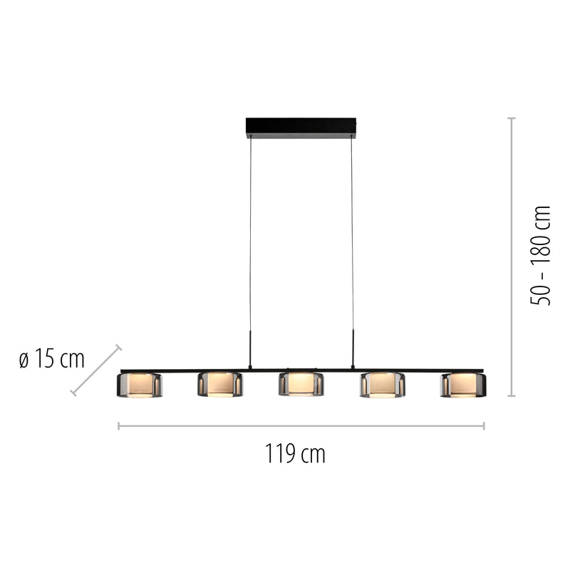 Lustra Paul Neuhaus RIKA 5xLED Negru