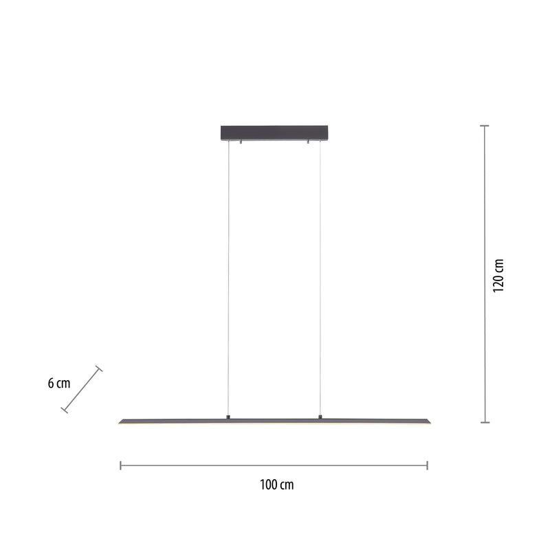 Lustra Paul Neuhaus PURE-LITE LED Antracit