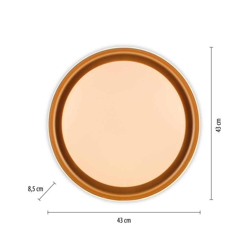 Plafoniera Paul Neuhaus SATI LED Alama Mat