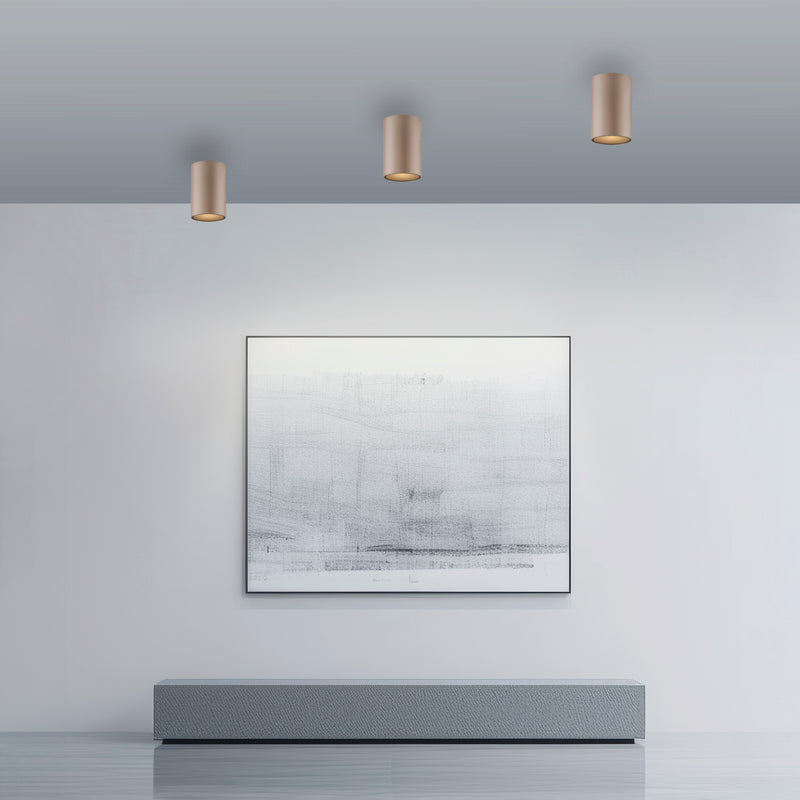 Plafoniera Paul Neuhaus PURE POINT LED Maro