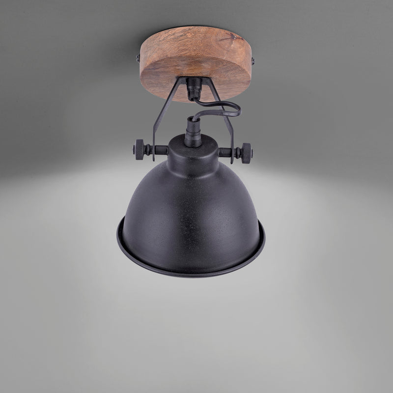 Plafoniera Paul Neuhaus SAMIA 1xE14 Negru