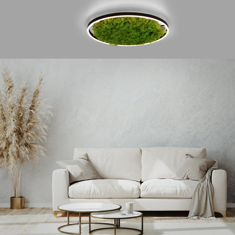 Plafoniera Zuma Line GREEN RITUS LED Muschi Natural