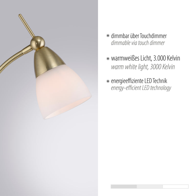 Lampadar Paul Neuhaus PINO 1xG9 Alama Mat