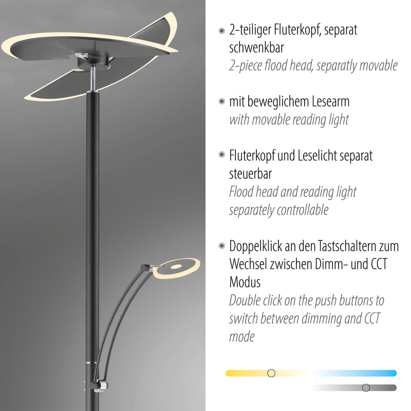 Lampadar Paul Neuhaus ARTUR LED Antracit