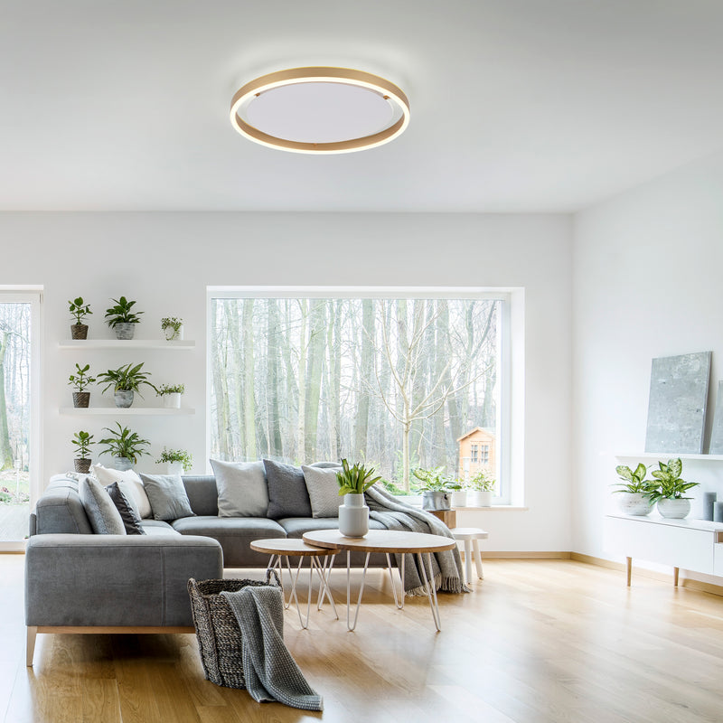 Plafoniera Paul Neuhaus RITUS LED Alama Mat
