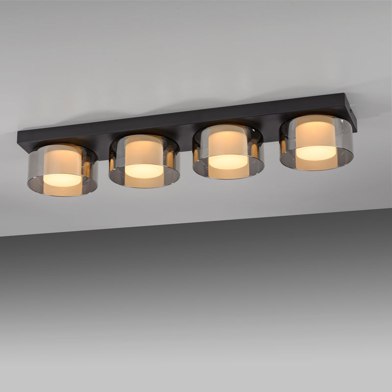 Plafoniera Paul Neuhaus RIKA 4xLED Negru
