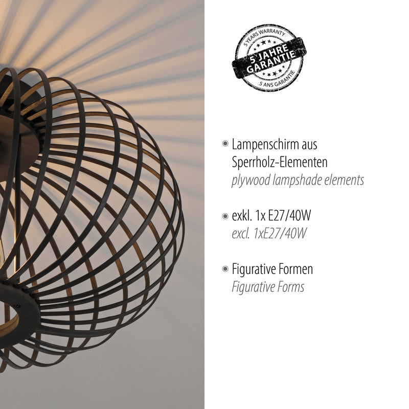 Plafoniera Zuma Line RACOON 5xE27 Negru