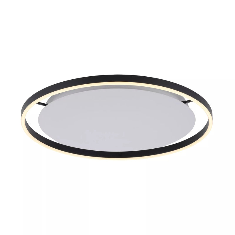 Plafoniera Paul Neuhaus RITUS LED Antracit