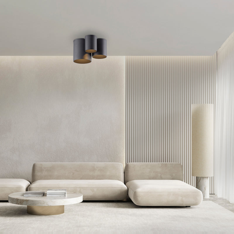 Plafoniera Paul Neuhaus PURE POINT LED Negru