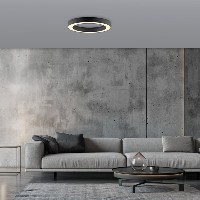 Plafoniera Paul Neuhaus PURE LINES ROUND LED Grafit