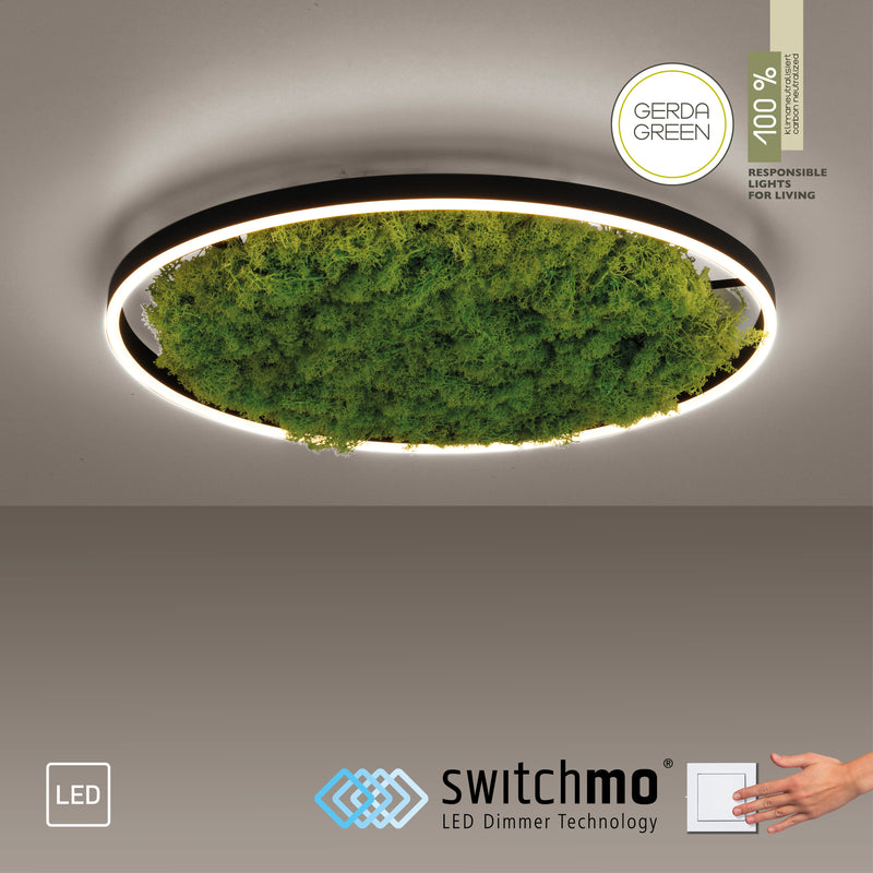 Plafoniera Zuma Line GREEN RITUS LED Muschi Natural