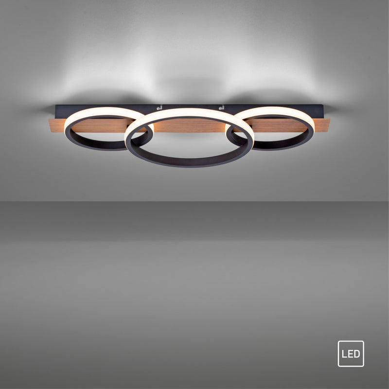 Plafoniera Paul Neuhaus TROOPER LED Lemn