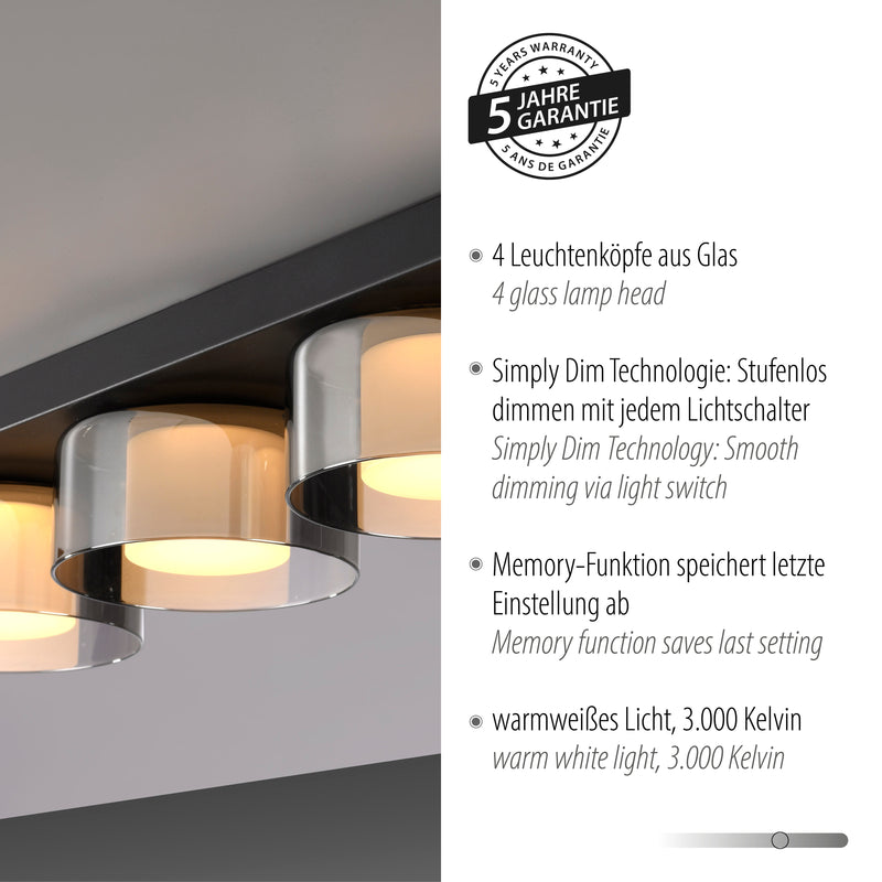 Plafoniera Paul Neuhaus RIKA 4xLED Negru