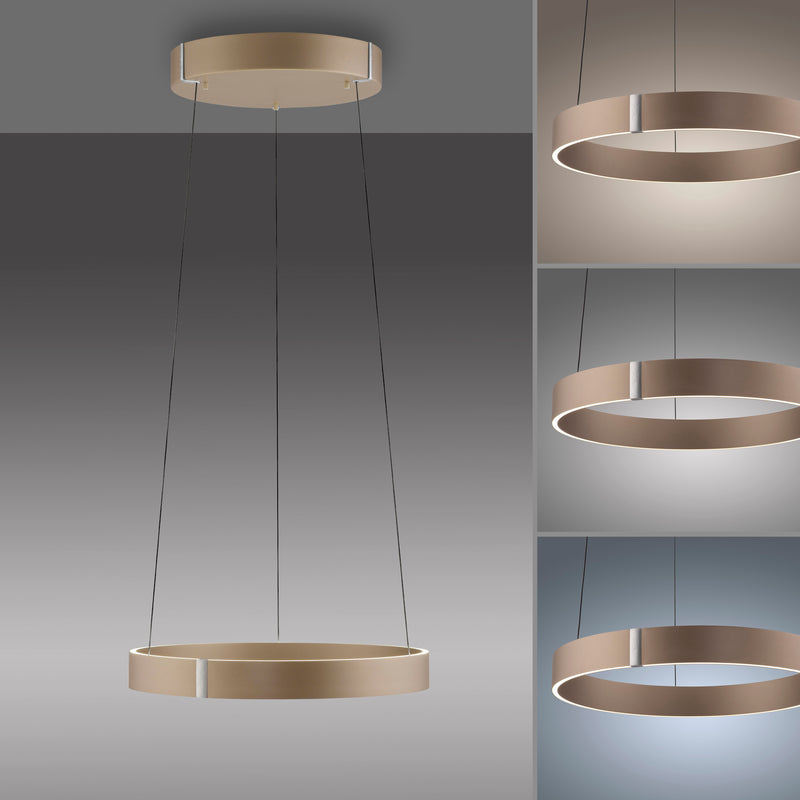 Lustra Paul Neuhaus PURE E-CLIPSE 2xLED Maro