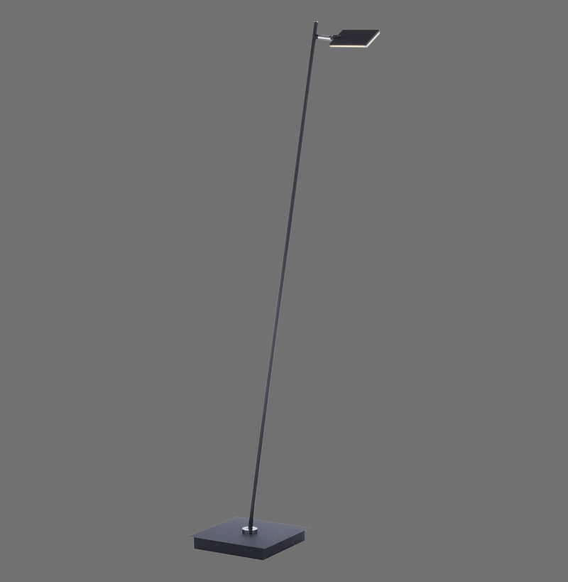 Lampadar Paul Neuhaus PURE-MIRA LED Antracit