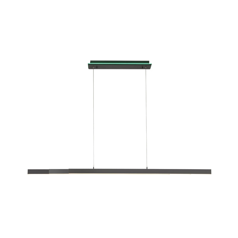 Lustra Paul Neuhaus Q-ARIAN 4xLED Antracit