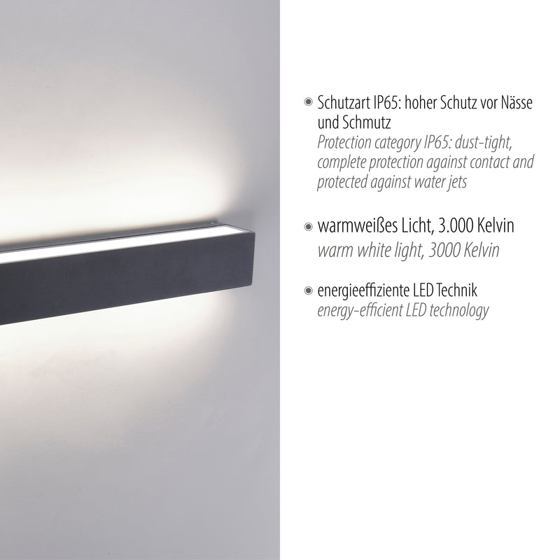 Aplica Paul Neuhaus ROBERT LED Antracit