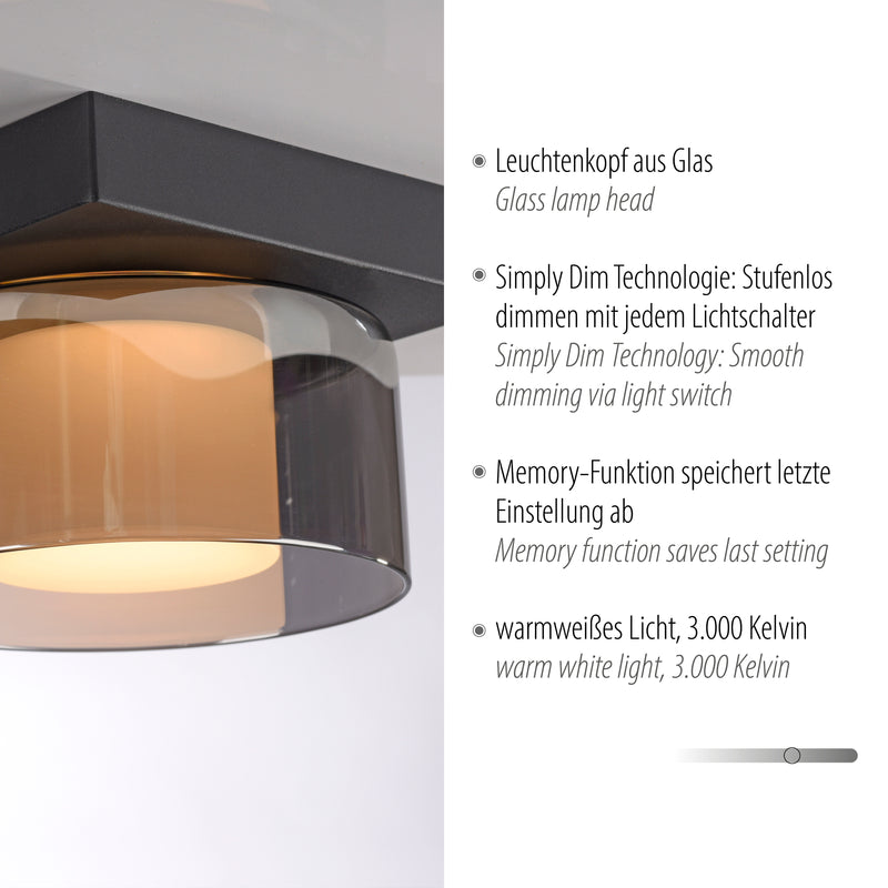 Plafoniera Paul Neuhaus RIKA LED Negru
