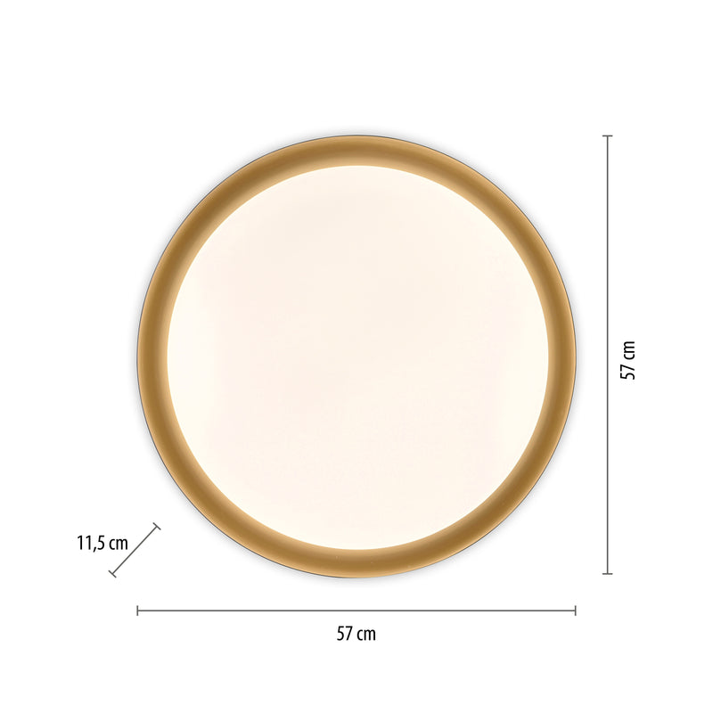 Plafoniera Paul Neuhaus OSKO LED Negru