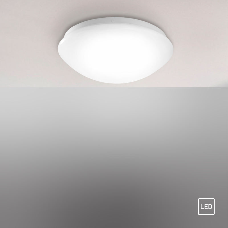 Plafoniera Paul Neuhaus ANDREA-LED LED Alb