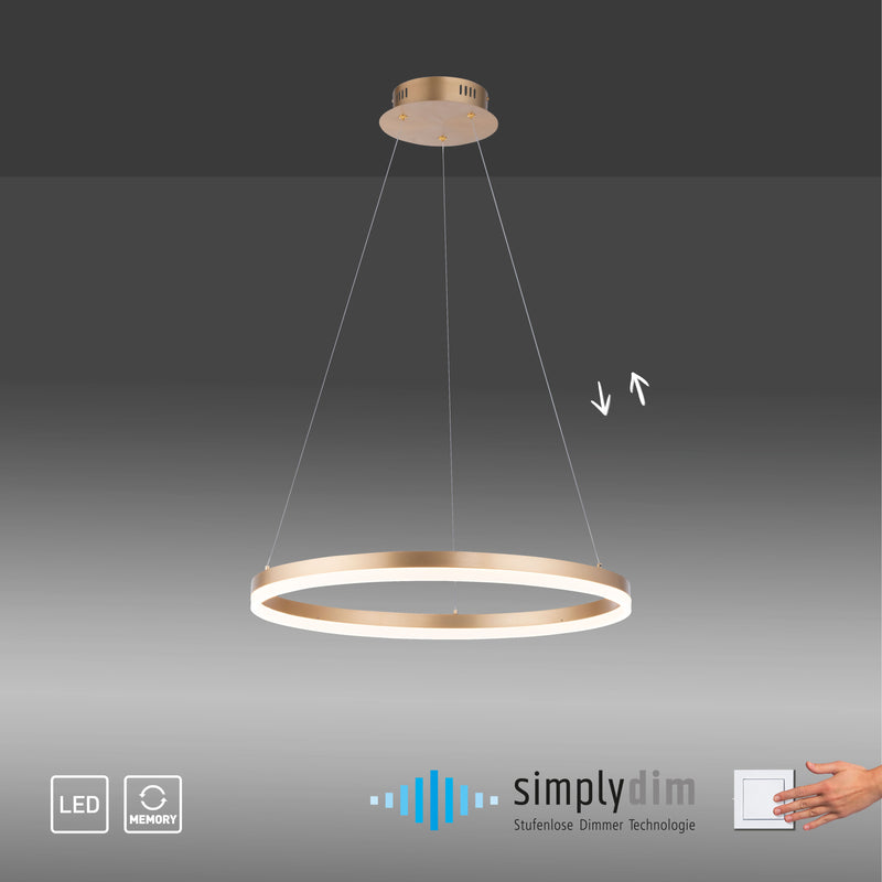 Lustra Paul Neuhaus TITUS LED Alama Mat