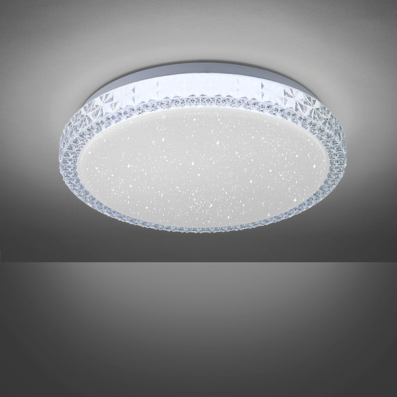 Plafoniera Paul Neuhaus FRIDA LED Transparent