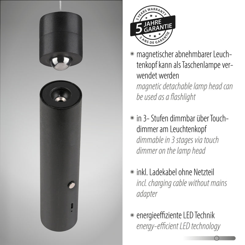Lustra Paul Neuhaus ATTACH LED Negru