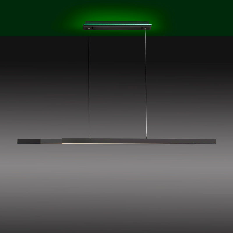 Lustra Paul Neuhaus Q-ARIAN 4xLED Antracit
