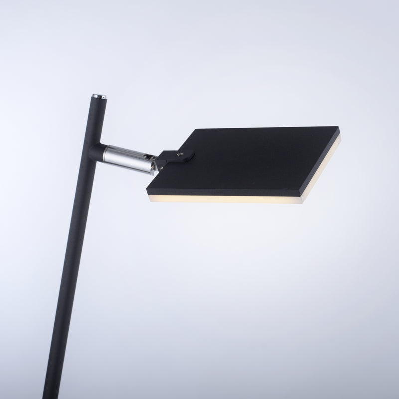 Lampadar Paul Neuhaus PURE-MIRA LED Antracit