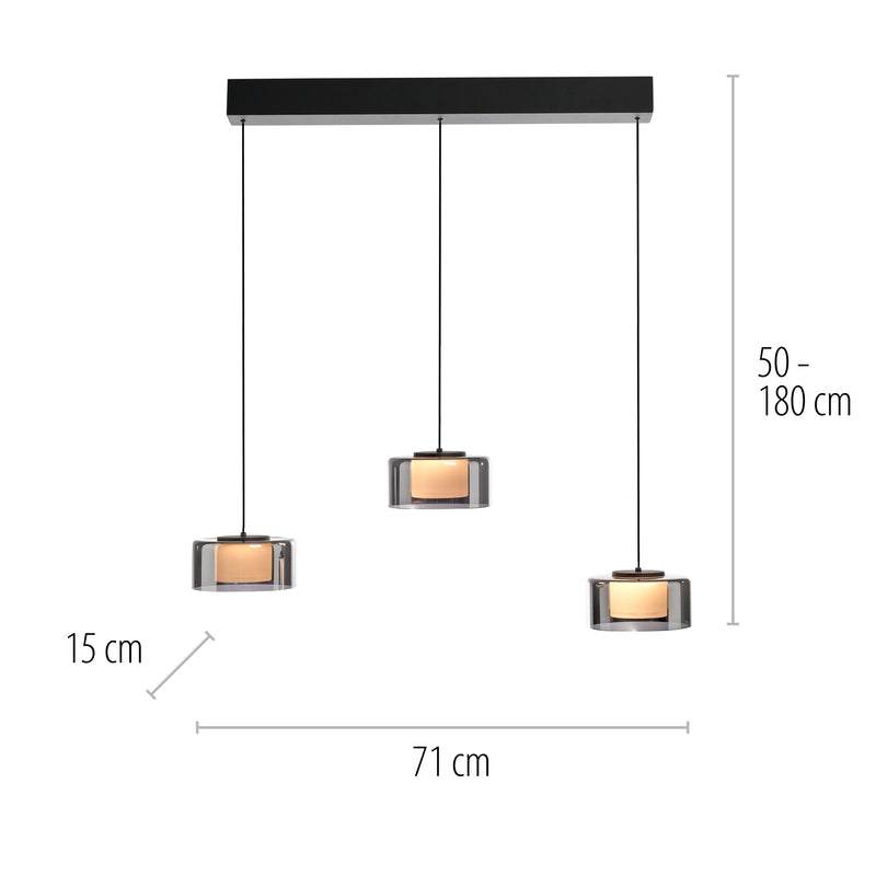 Lustra Paul Neuhaus RIKA 3xLED Negru