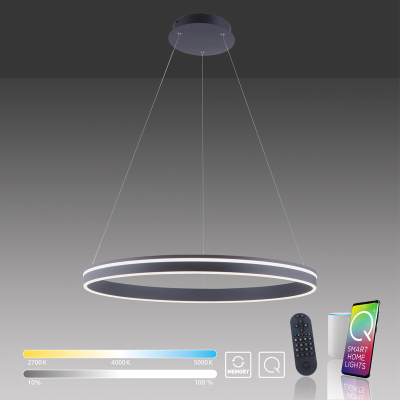Lustra Paul Neuhaus Q-VITO LED Antracit