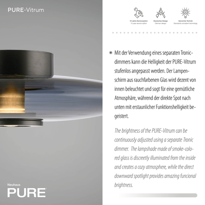 Plafoniera Paul Neuhaus PURE VITRUM 2xLED Gri