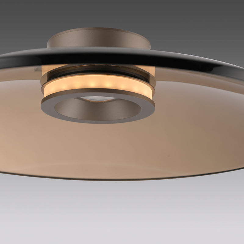 Plafoniera Paul Neuhaus PURE MOON 2xLED Maro