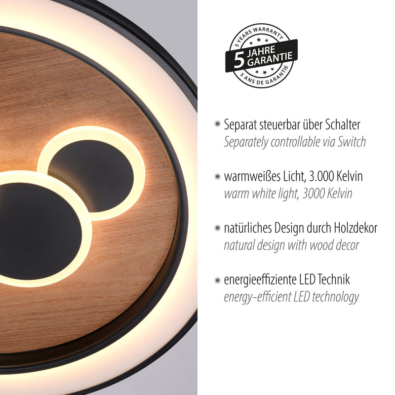 Plafoniera Paul Neuhaus ELIZA LED Negru
